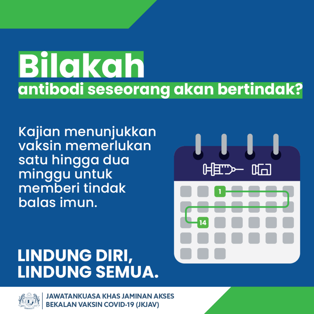 Bilakah Antibody Seseorang akan Bertindak