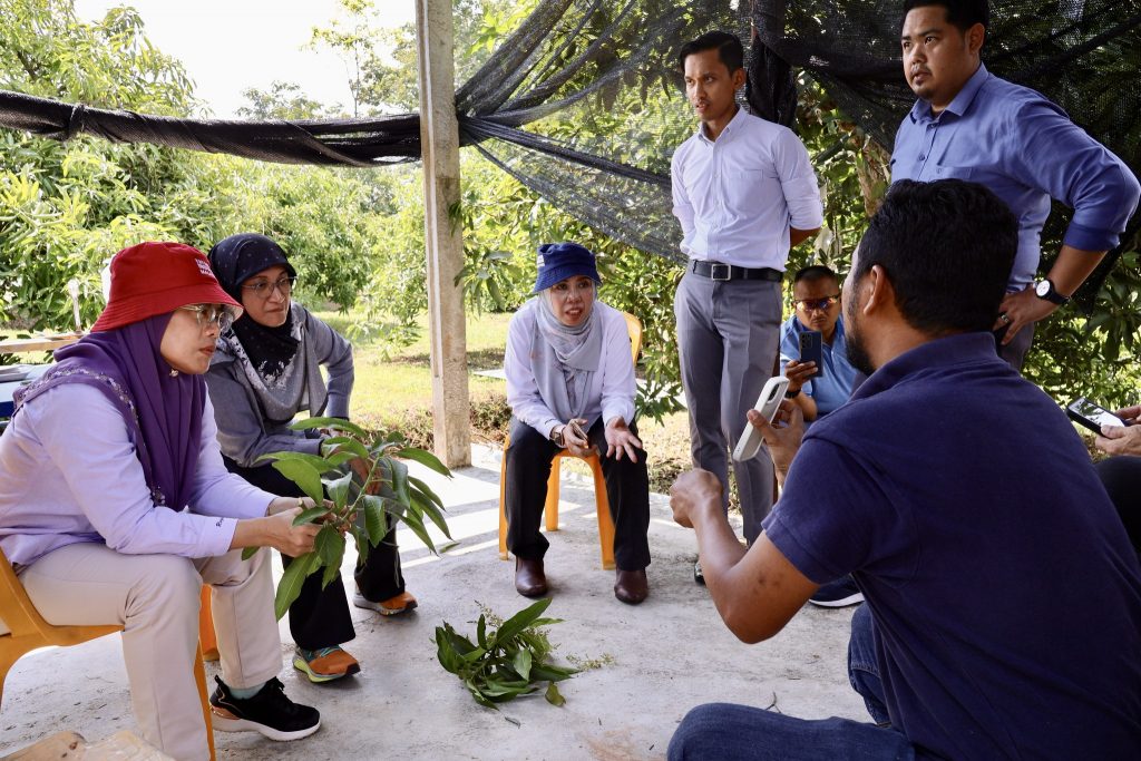 441297578 859514509537539 1921579911622905982 n