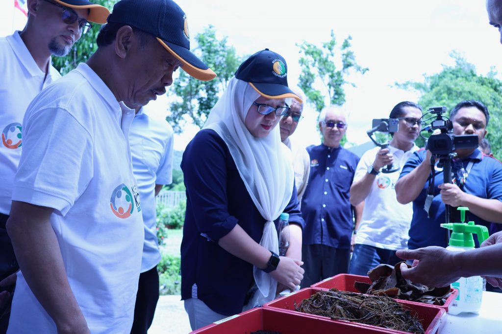 441337817 869393858549604 6028144336418947492 n