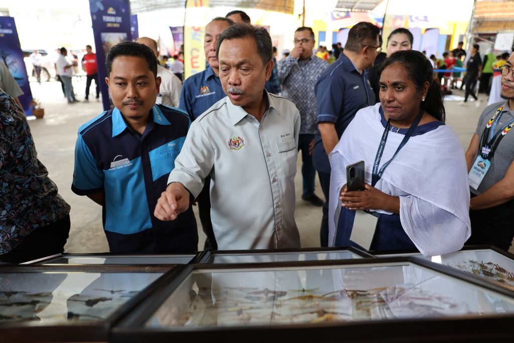 455703197 926392489516407 961014562317845142 n