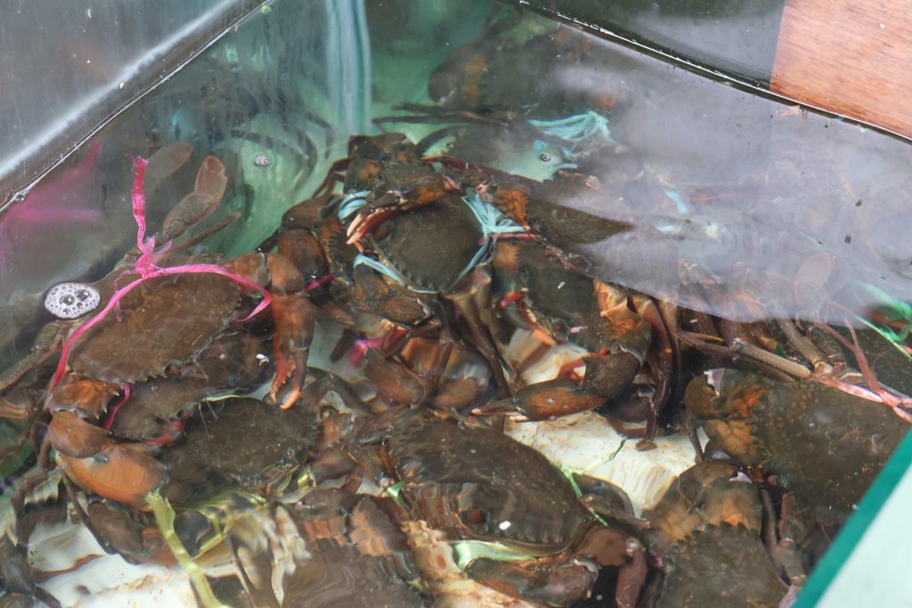 499061216 1142450451243942 7319516286606366175 n