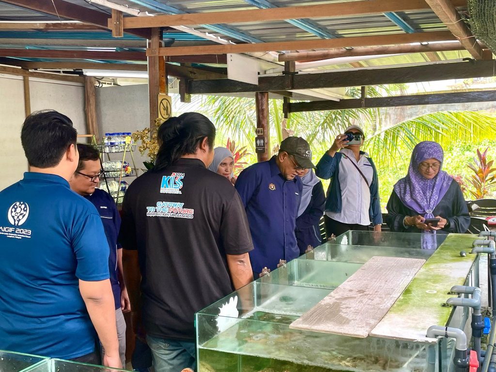 499237229 1142450994577221 2834059186039753079 n