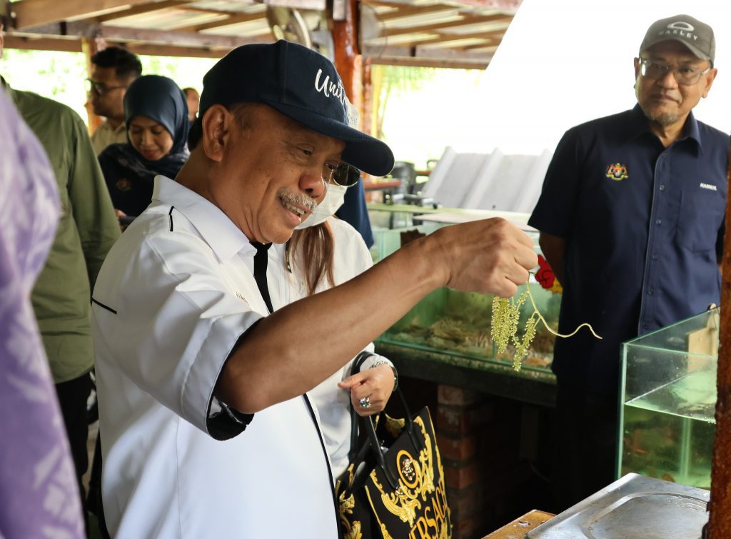 499531296 1142448917910762 854119640374430435 n