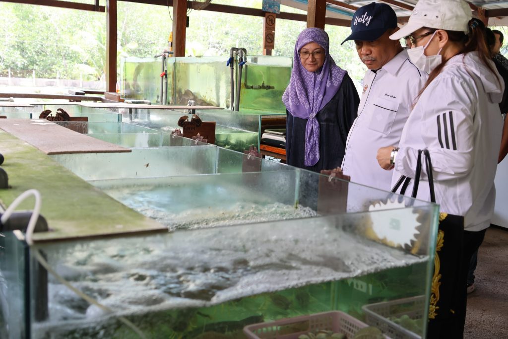 499549253 1142449144577406 4724784108525012000 n