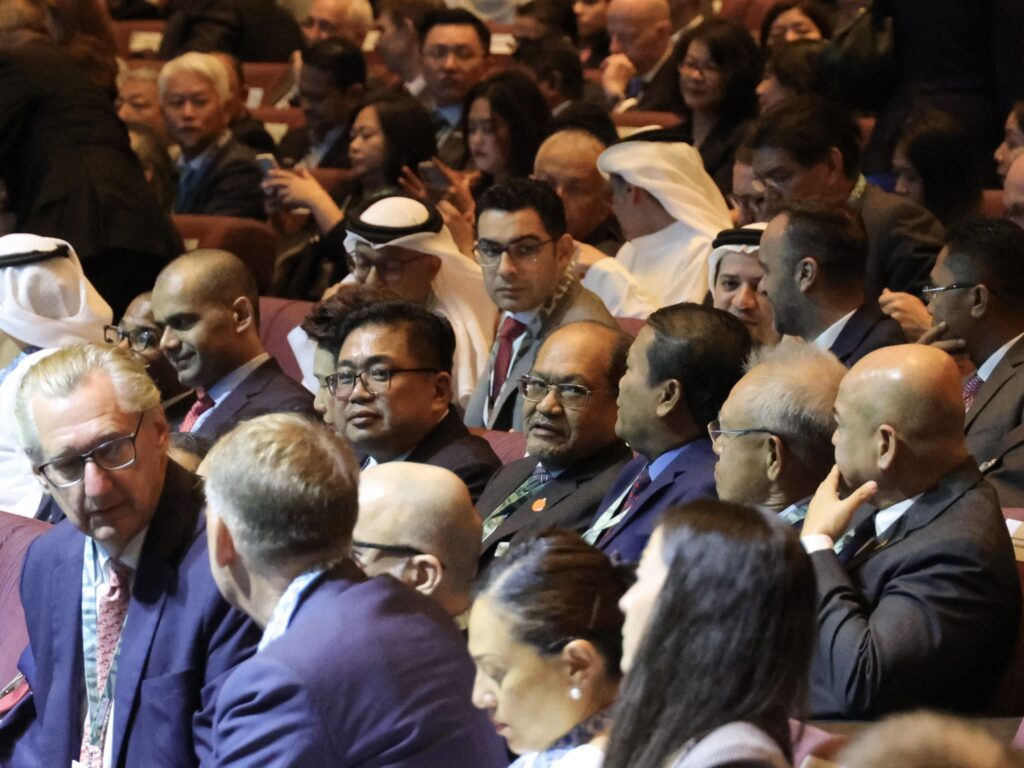 508242181 1164608442361476 3433630424980860448 n