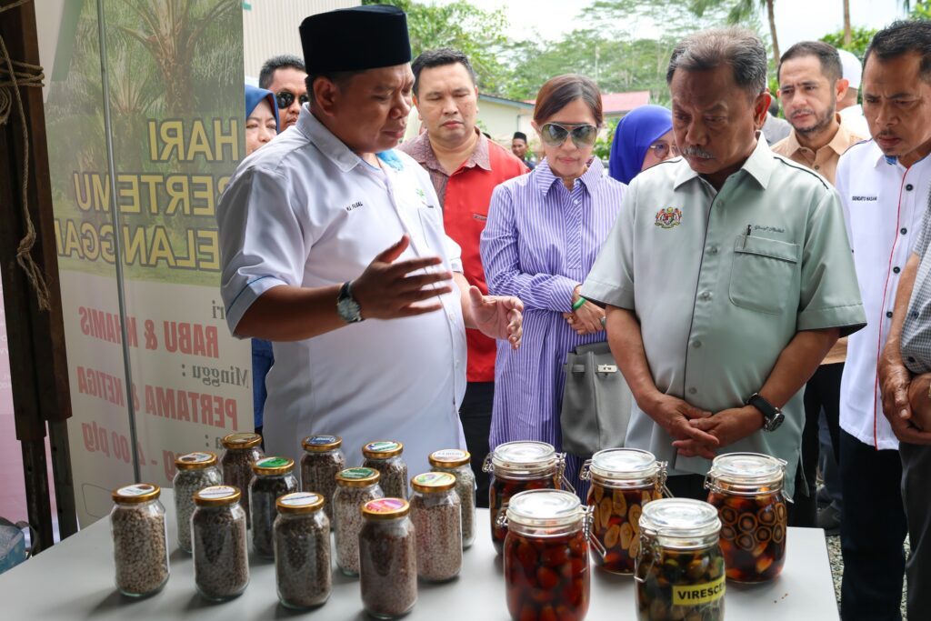 509094203 1165442498944737 761042848273000846 n