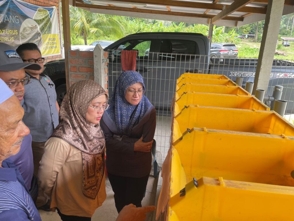 511274091 1173417701480550 1800783218059294141 n