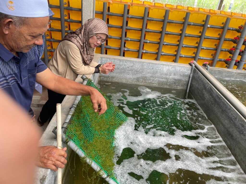 511278496 1173417678147219 4022581447963723072 n