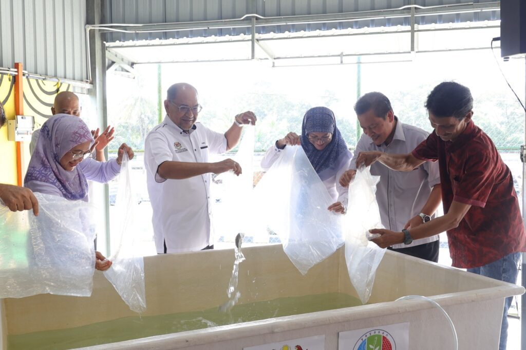 515949788 1180426500779670 2095731355638885361 n