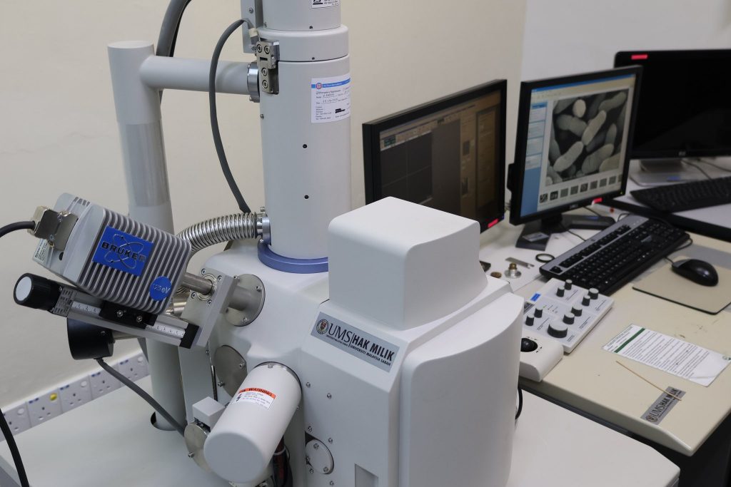 546404746 1236955785126741 5634338138022252022 n