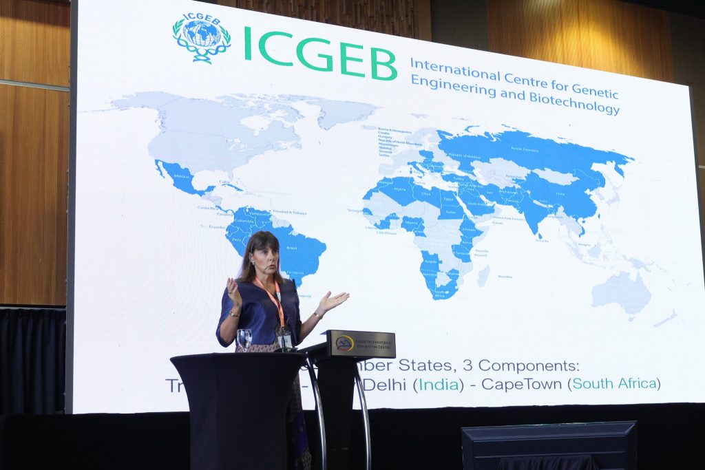 546599647 1236715185150801 7970995305926011638 n