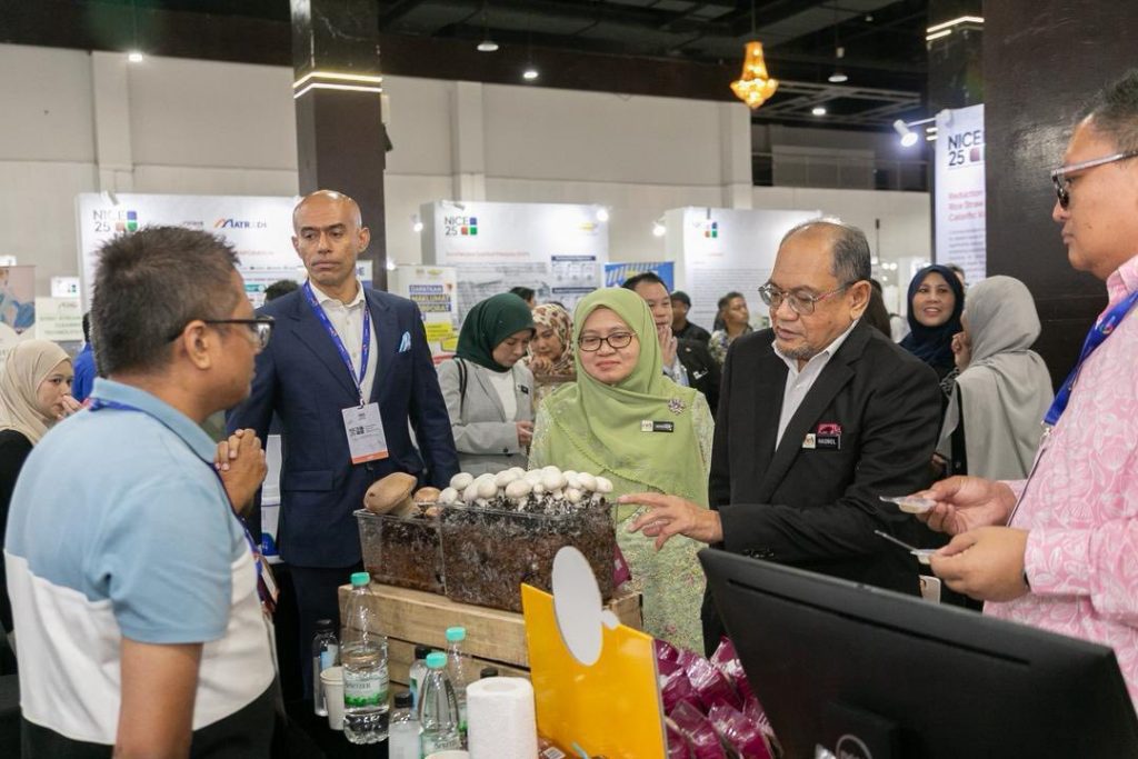 558366343 1262162192606100 4973250038771075258 n