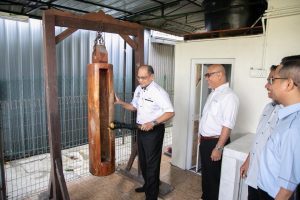 588313527 1305354348286884 8242199065727369822 n