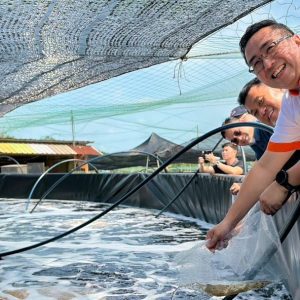 615068083 1345190240969961 8974165533178565526 n