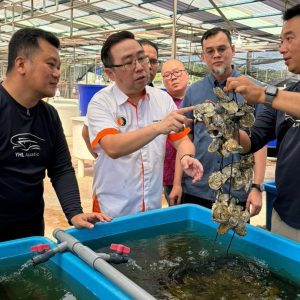 615753682 1345190744303244 5953175545118899676 n