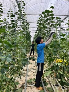 679510175 1426775456144772 2411637316323079869 n