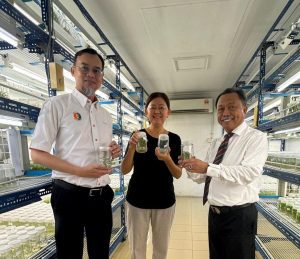 680727130 1431266665695651 9103500491278390393 n